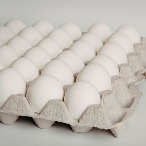 huevo blanco
