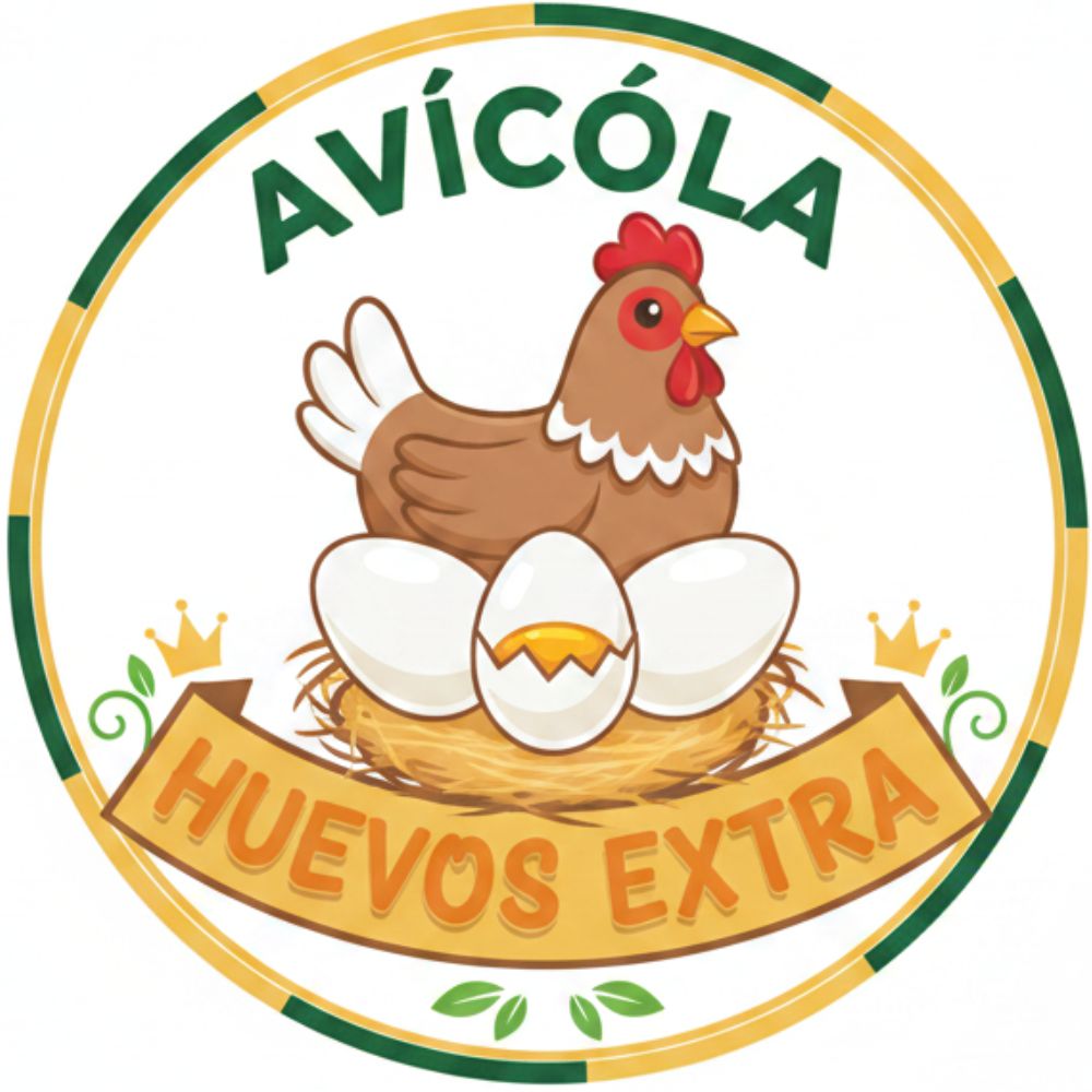 Huevos extra-Venta de gallinas chile