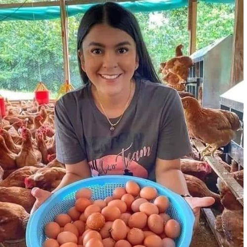 huevos